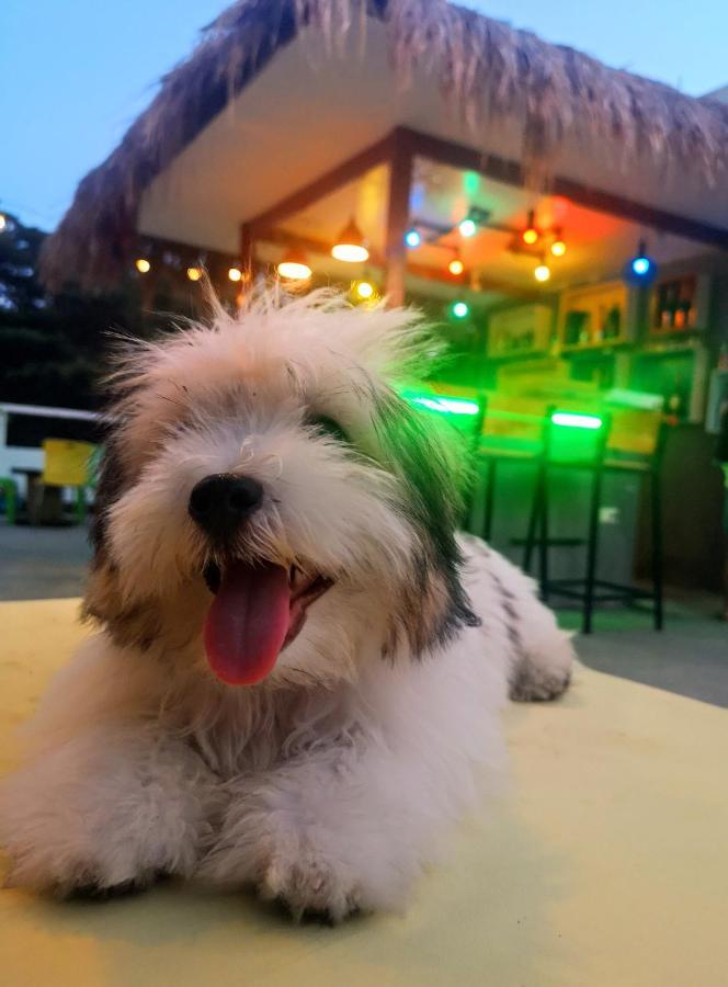 Dumaguete City Antwet Backpacker'S Inn & Rooftop Bar מראה חיצוני תמונה